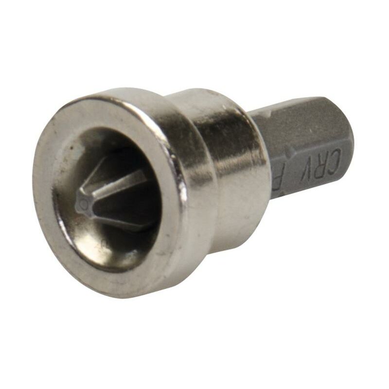 foto del prodotto silverline punta per muri a secco ph2