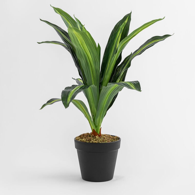 foto del prodotto sklum pianta artificiale decorativa dracaena 40 cm