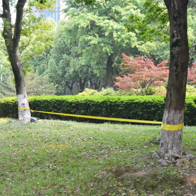 foto del prodotto slackline 15 m x 50 mm 150 kg gialla vidaxl