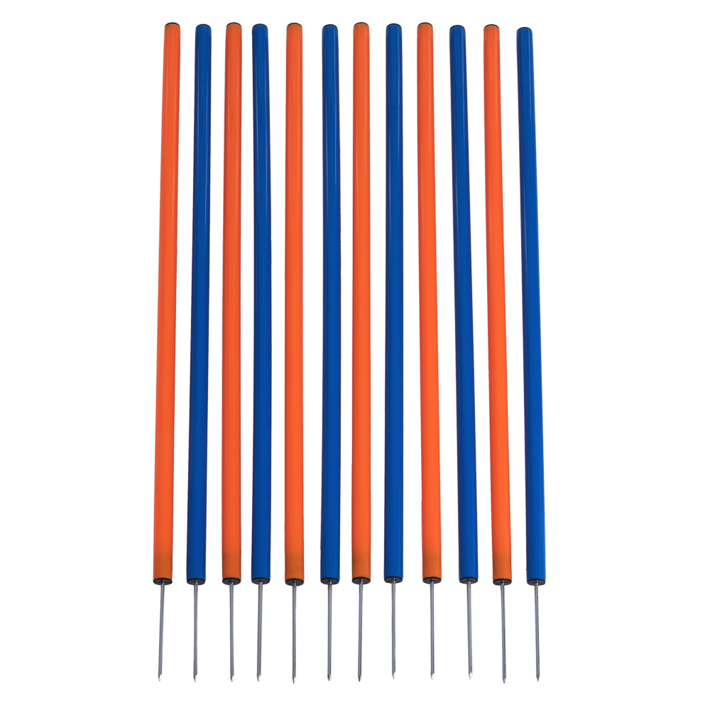 foto del prodotto slalom set agility fun sport 12 pz