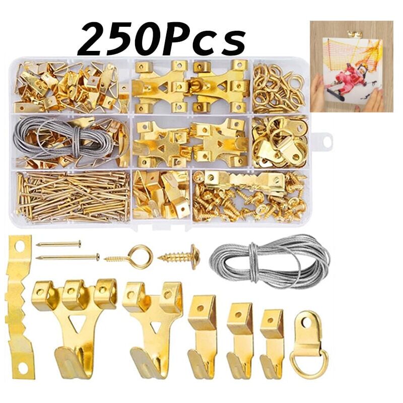 foto del prodotto snq 250 pezzi ganci per cornici, ganci per quadri, kit per appendere quadri, con viti, chiodi, anello a d e occhiello a vite, ganci a dente di