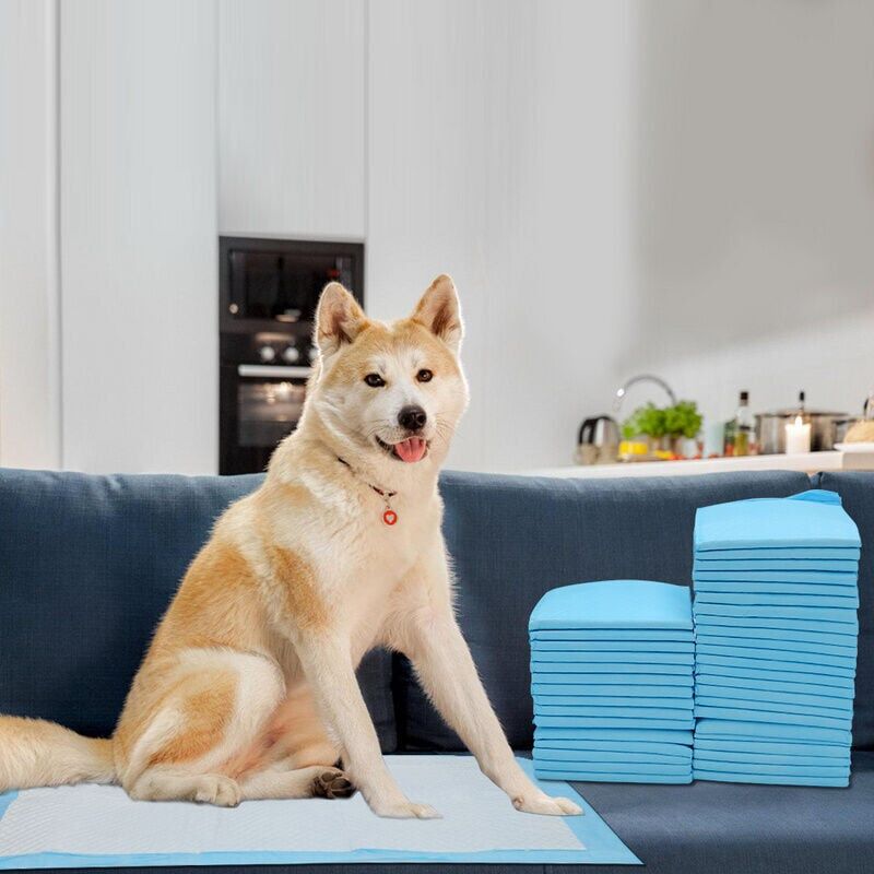 foto del prodotto snq 40x tappetini assorbenti per cuccioli tappetini igienici per cani 60x60cm
