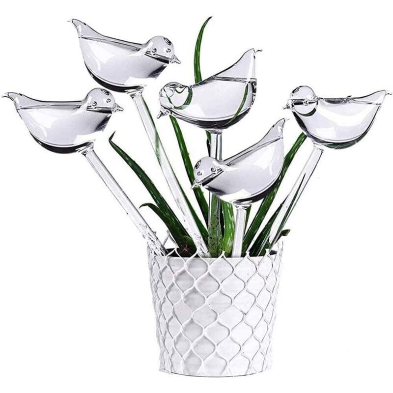 foto del prodotto snq 5lot globi di irrigazione automatici in vetro per piante a forma di uccello trasparente per piante da interno, pali da giardino, fiori
