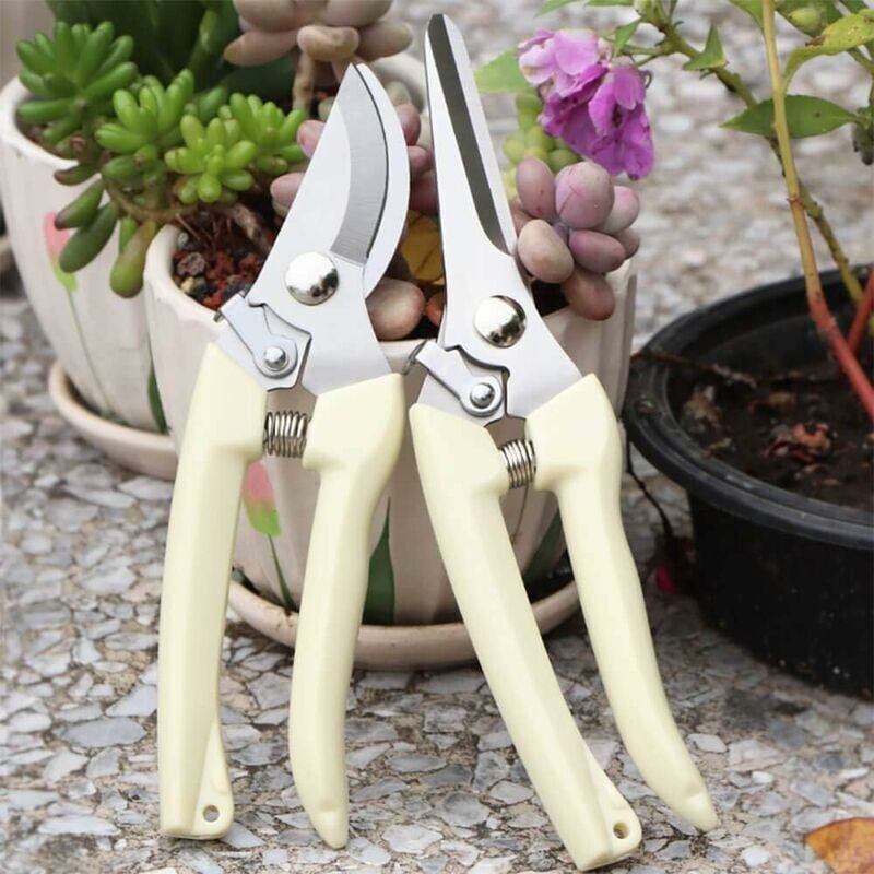 foto del prodotto snq forbici da giardinaggio manuali per bonsai, forbici da giardino ad alta precisione con lama curva e inossidabile