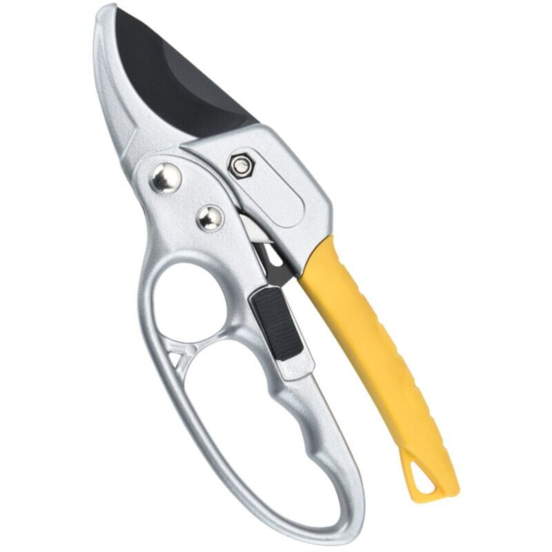 foto del prodotto snq forbici professionali per rami di fiori da giardino , per potare cespugli, bonsai e altri utensili da giardinaggio