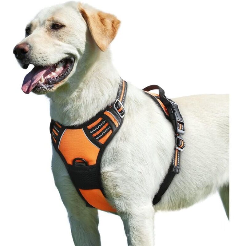 foto del prodotto snq harnais chien, harnais anti traction pour chien r fl chissant r glable, facile mettre, avec poign e contr le, arnet pour chien solide