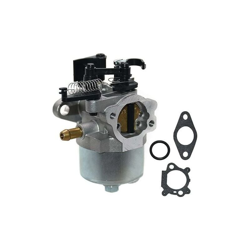 foto del prodotto snq kit carburatore per briggs stratton dov 700 750 792038 parte tosaerba