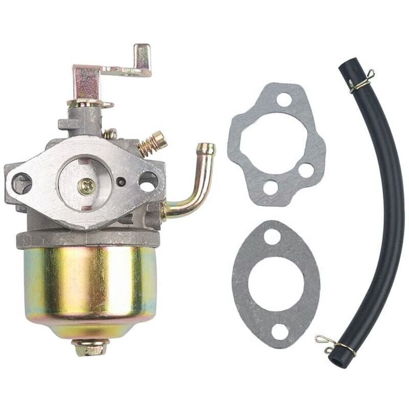 foto del prodotto snq per carburatore robin ey15 ey20 227 62450 10