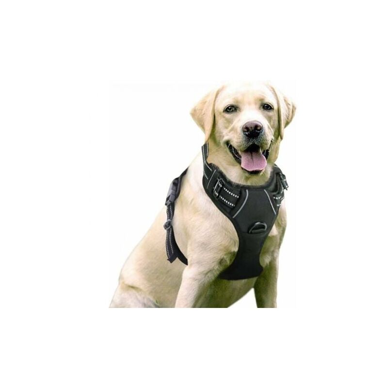 foto del prodotto snq pettorina anti tiro per cani, solo per cani, facile da indossare, regolabile, riflettente, con cinturino di fissaggio anteriore, adatta per