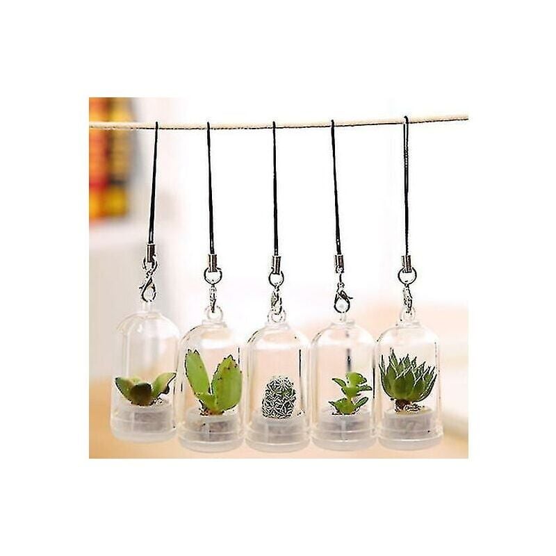 foto del prodotto snq portachiavi in vetro con pianta succulenta in miniatura con simulazione