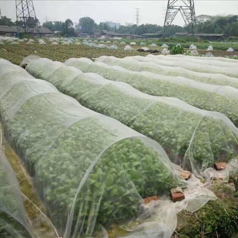 foto del prodotto snq rete anti insetti per giardino, copertura anti insetti, rete antipolvere in nylon, serra per orto, rete anti uccelli, rete per giardinaggio