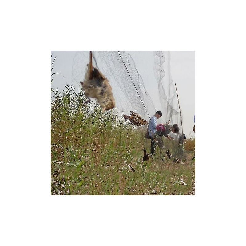 foto del prodotto snq rete per catturare uccelli rete per stagni rete da pesca colture alberi da frutto verdure fiori