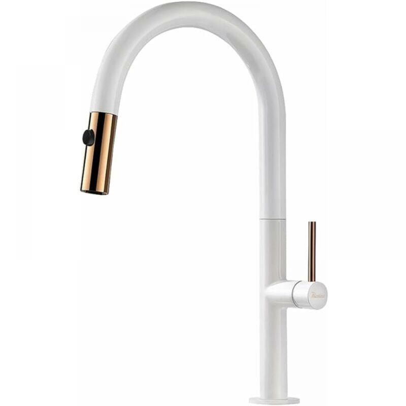 foto del prodotto snq rubinetto da cucina phasat con 2 doccette a getto, girevole a 360 , rubinetto per lavabo, ottone fuso di alta qualit , rubinetto da cucina,