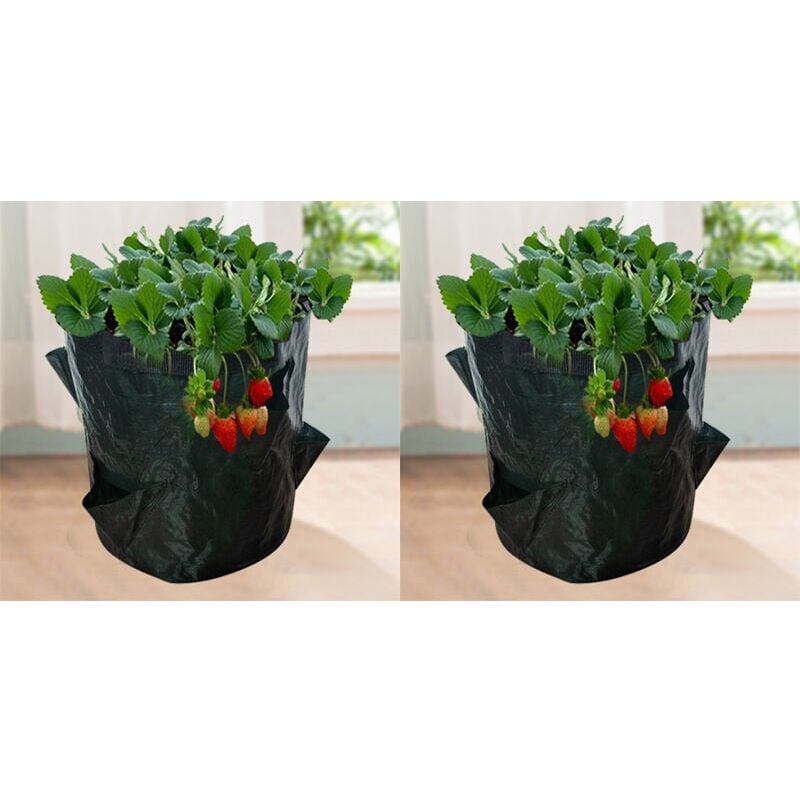 foto del prodotto snq sacchi per la coltivazione di fragole, confezione da 2 da 18 l 5 galloni, in tessuto non tessuto, con finestra per il giardino 23 x 28 cm 4