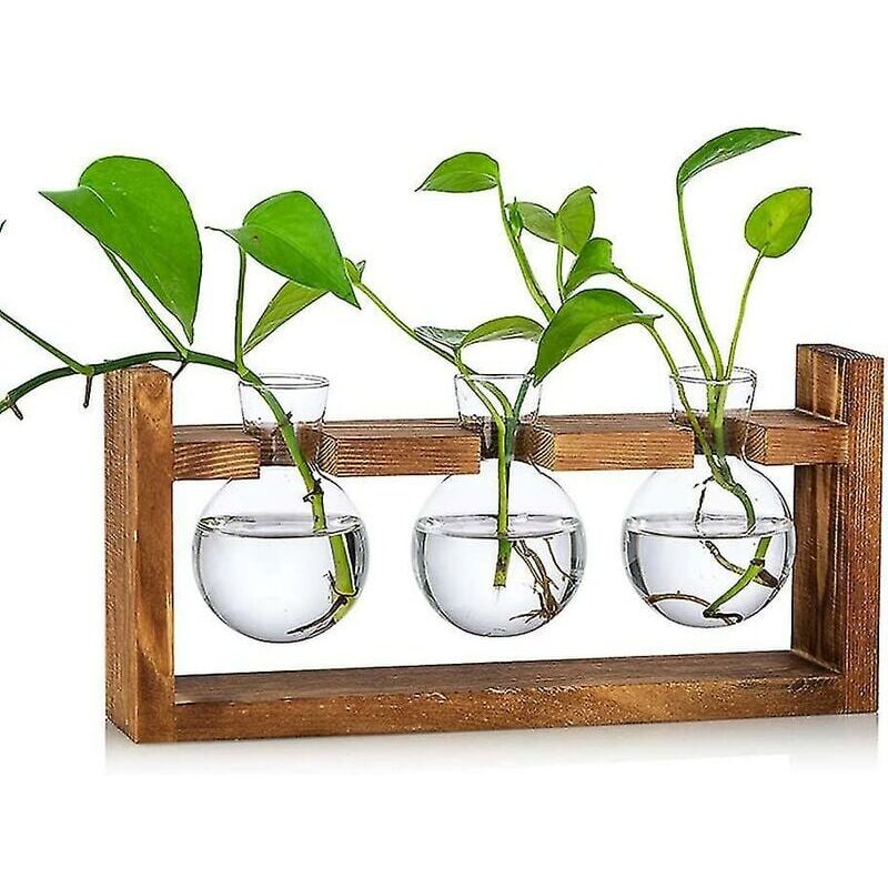 foto del prodotto snq vaso per fiori piccoli vasi vintage per decorazioni da tavola provette in vetro moderne per fiori con supporto stazione di propagazione in