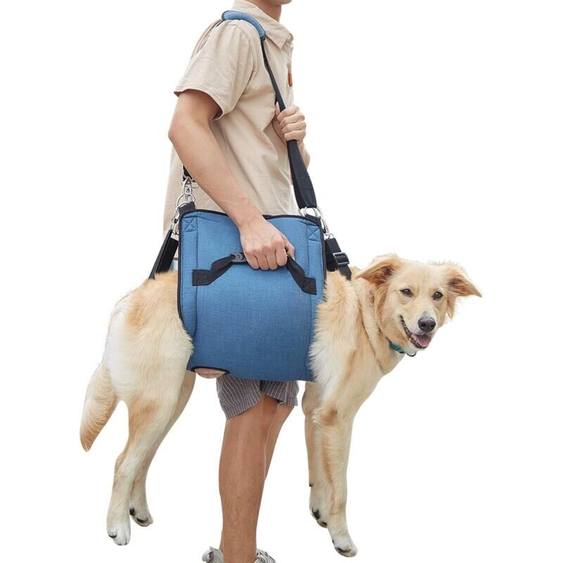 foto del prodotto snq xl, blu imbracatura per cani, zaino di emergenza per animali domestici, supporto e riabilitazione, imbracatura per cani per taglio unghie,