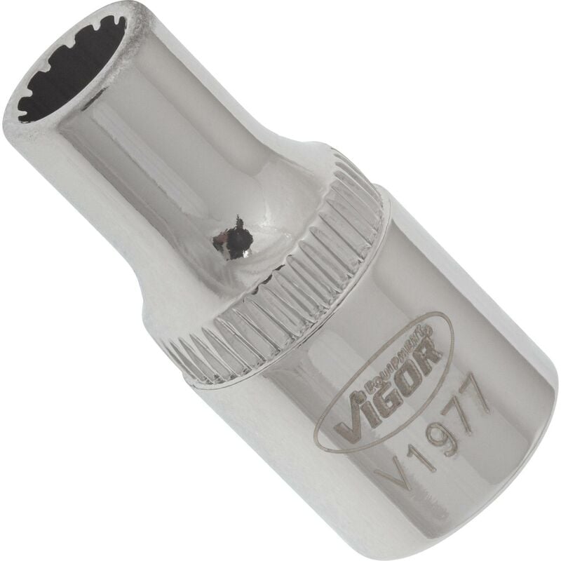 foto del prodotto socket with multi purpose profile v1977 attacco quadro, cavo, 1 4 di pollice 6,3 mm multiprofilo size 5 mm