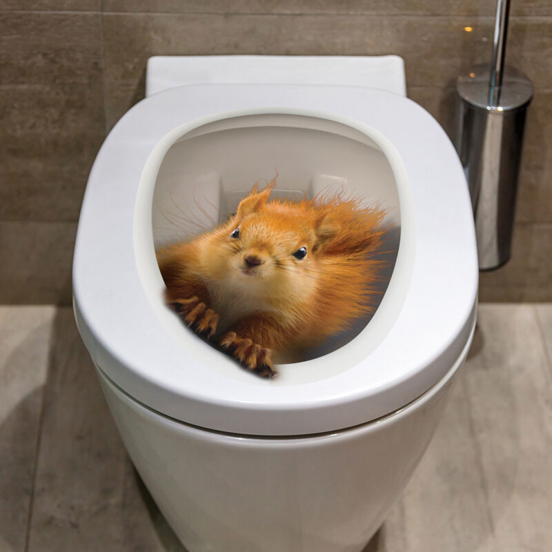 foto del prodotto sollbry adesivi scoiattolo, adesivi per coperchio del water, adesivi rimovibili e impermeabili per il sedile del water, per la decorazione del bagno