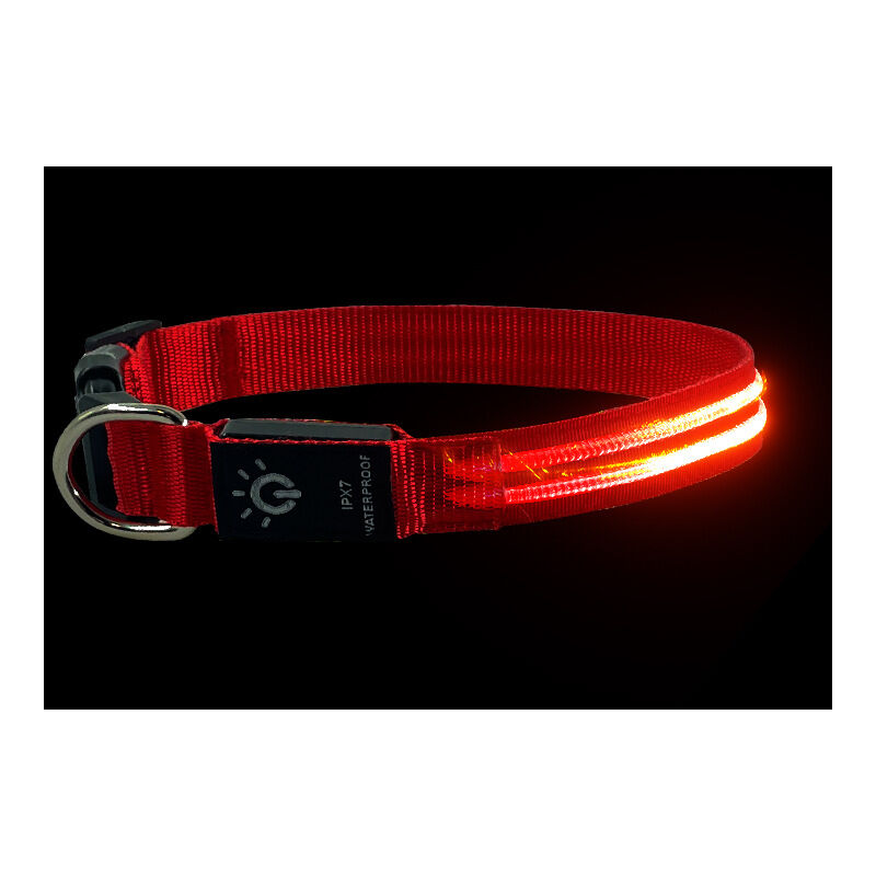 foto del prodotto sollbry collare luminoso per cani per passeggiate notturne, collare led impermeabile ricaricabile per cani, collari led luminosi che si illuminano