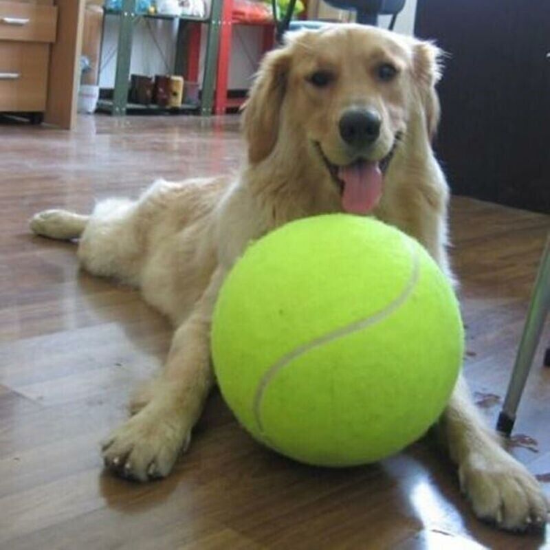 foto del prodotto sollbry giocattolo da basket per animali domestici giocattolo da calcio giocattolo solido, tennis, ace tennis tennis