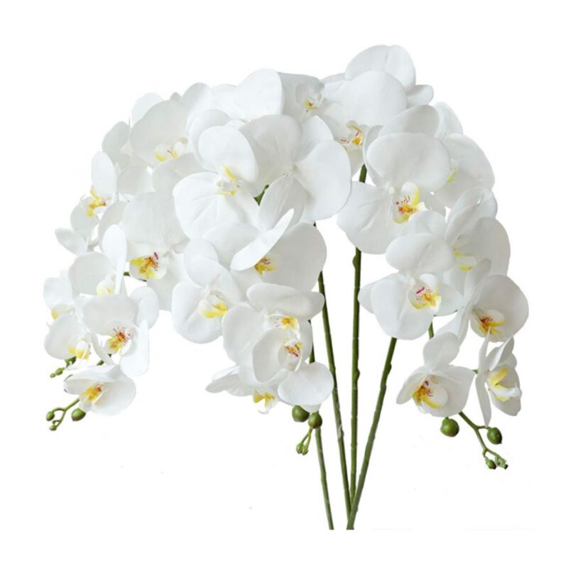 foto del prodotto sollbry pezzi di fiori artificiali di phalaenopsis, foglie, fiori di orchidea artificiali, steli di piante per decorazioni per la casa bianco 