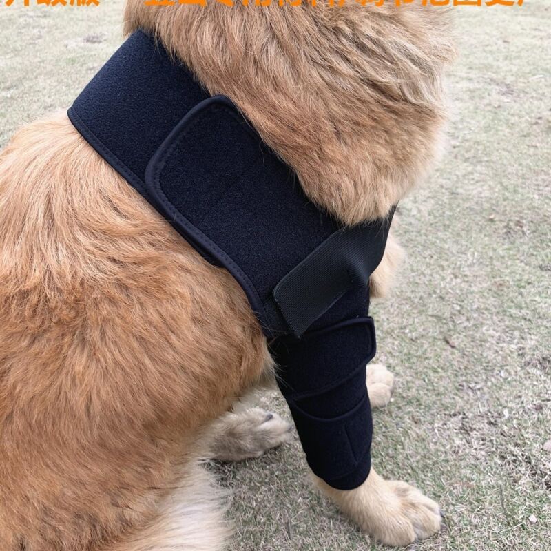 foto del prodotto sollbry tutore per gomito per cani, per spalle, zampe anteriori, lussazioni, piaghe da decubito, lesioni, artrite, perdita di stabilit l 