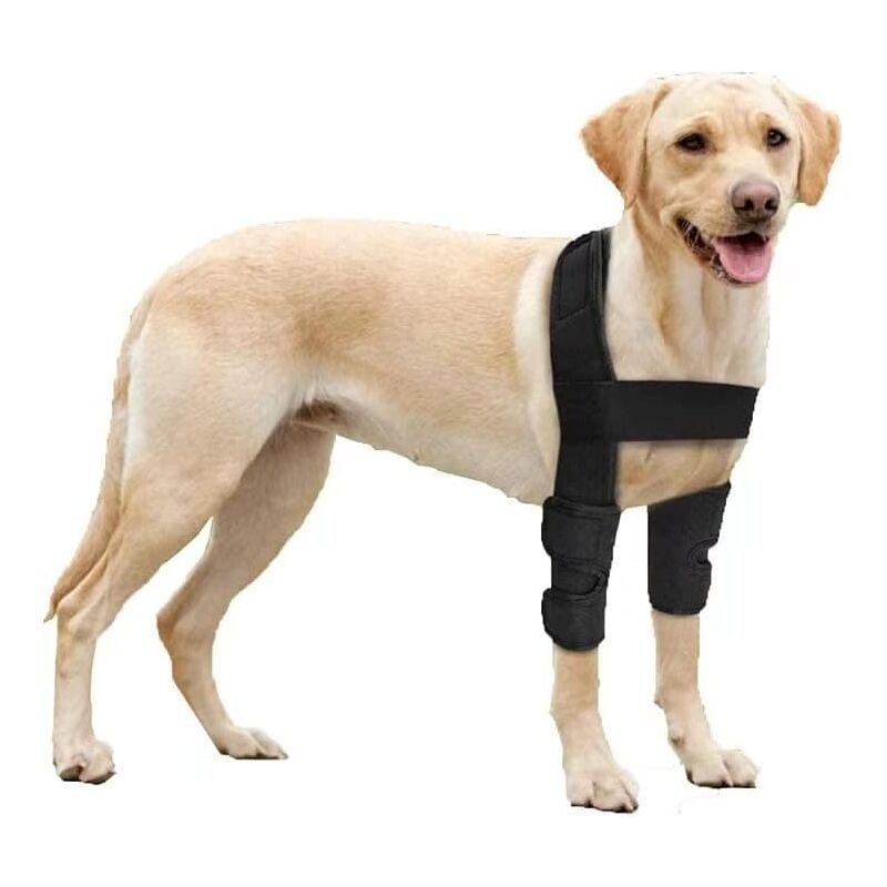 foto del prodotto sollbry tutore per gomito per cani, per spalle, zampe anteriori, lussazioni, piaghe da decubito, lesioni, artrite, perdita di stabilit s 