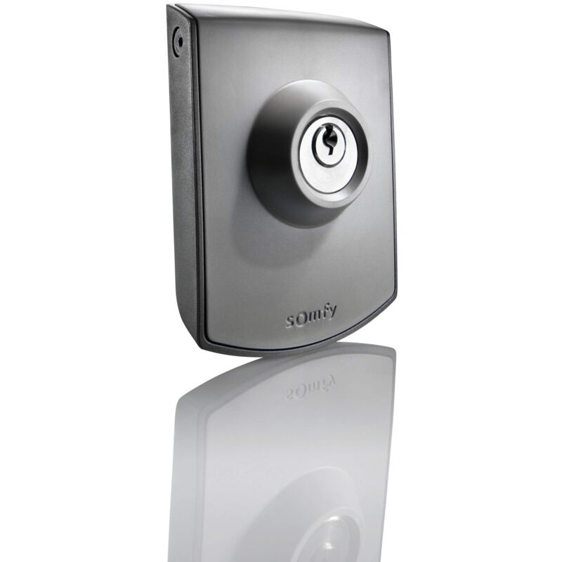 foto del prodotto somfy 2400597 comando a chiave cablata contatto chiave per motore di cancello o garage contatto secco
