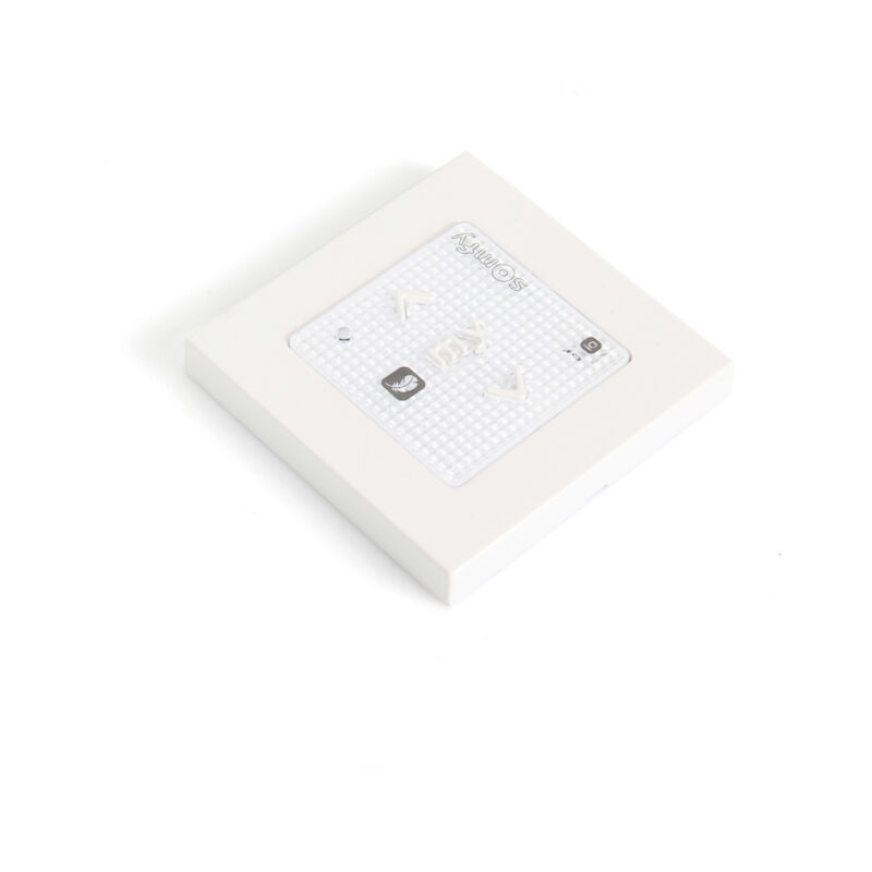 foto del prodotto somfy telecomando smoove origin rs100 io 1811719