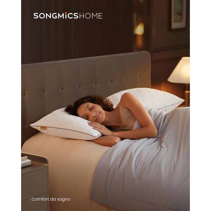 foto del prodotto songmics home cuscini letto set da 2, usi su 2 lati, 50 x 70 cm, federa rinfrescante, imbottitura 650 g, inverno estate, lavabile in lavatrice e