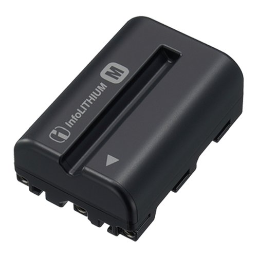 foto del prodotto sony np fm500h