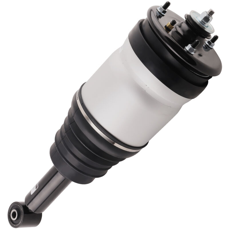 foto del prodotto sospensione pneumatica posteriore rpd501090 for range rover sport l320 10 
