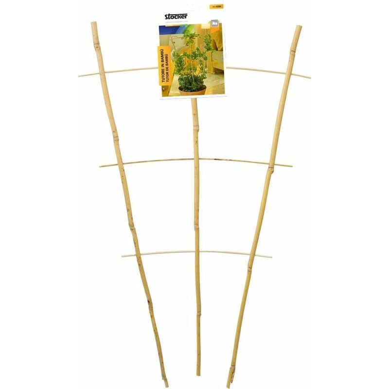foto del prodotto sostegni di bamb 28 x h60 cm stocker