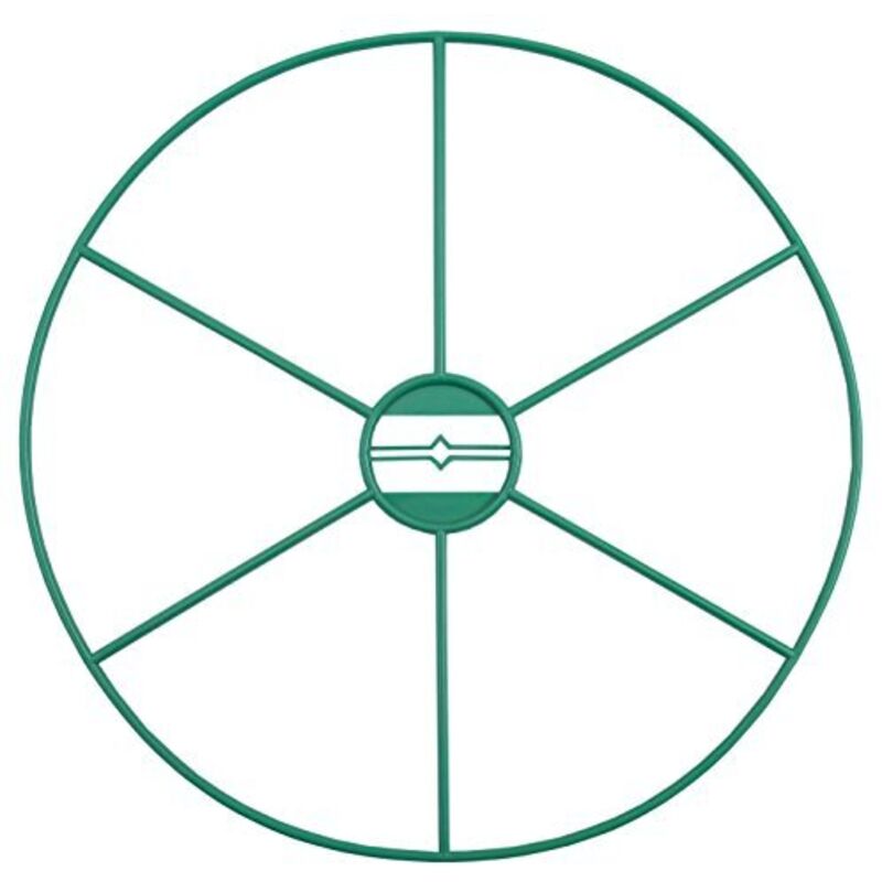 foto del prodotto sostegno per piante erbacee 40cm - connex