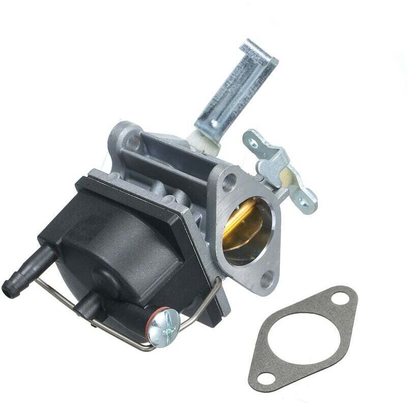 foto del prodotto sostituzione del carburatore per tecumseh 640221 5156 carburatore assy select ov691ea tvt691 modelli