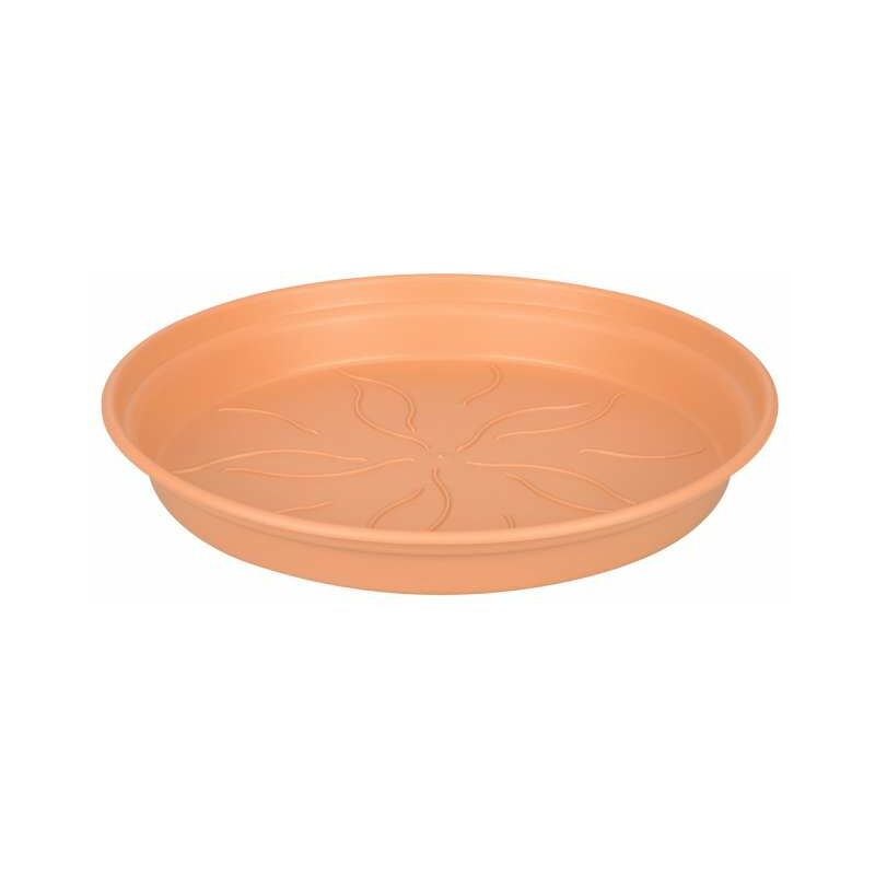 foto del prodotto sottovaso 10 cm terra