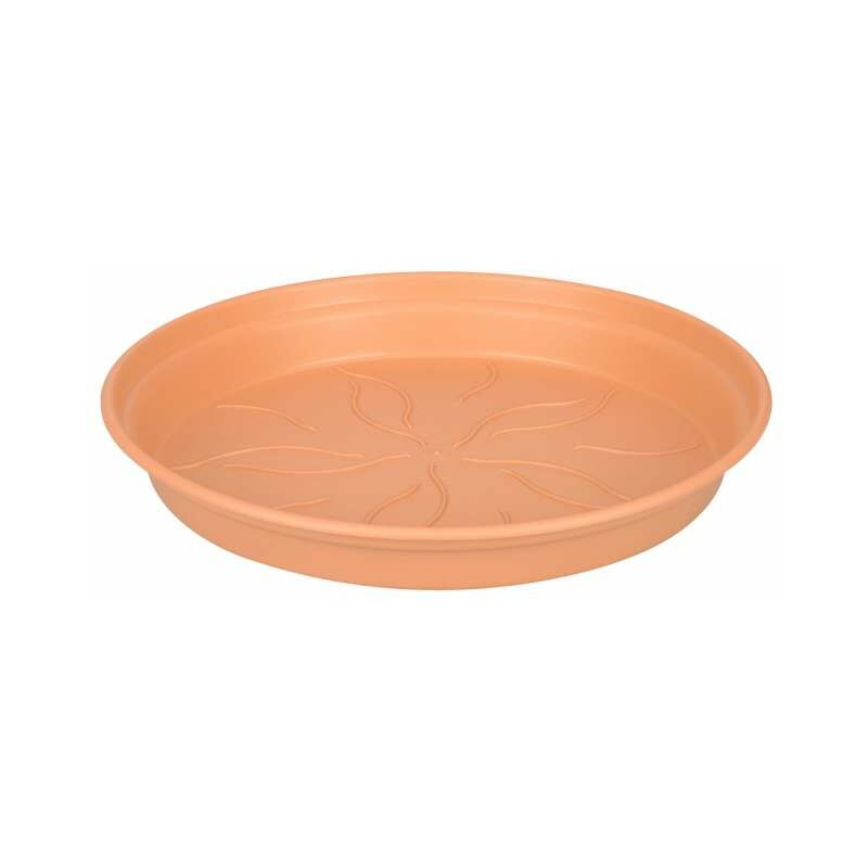 foto del prodotto sottovaso 17 cm terra