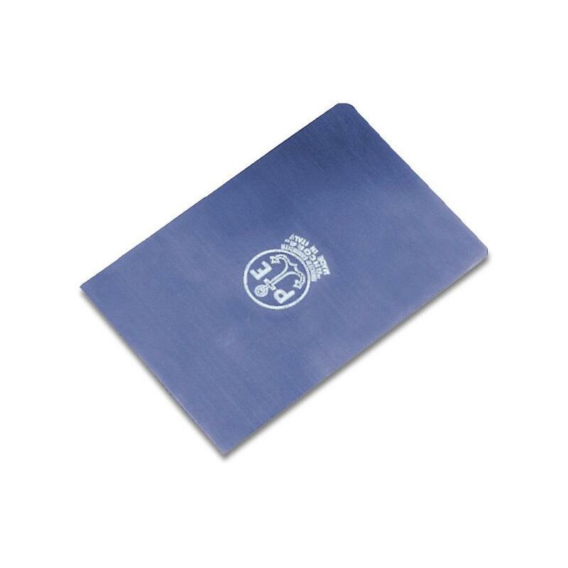 foto del prodotto spatola lama blu 539 mm. 140