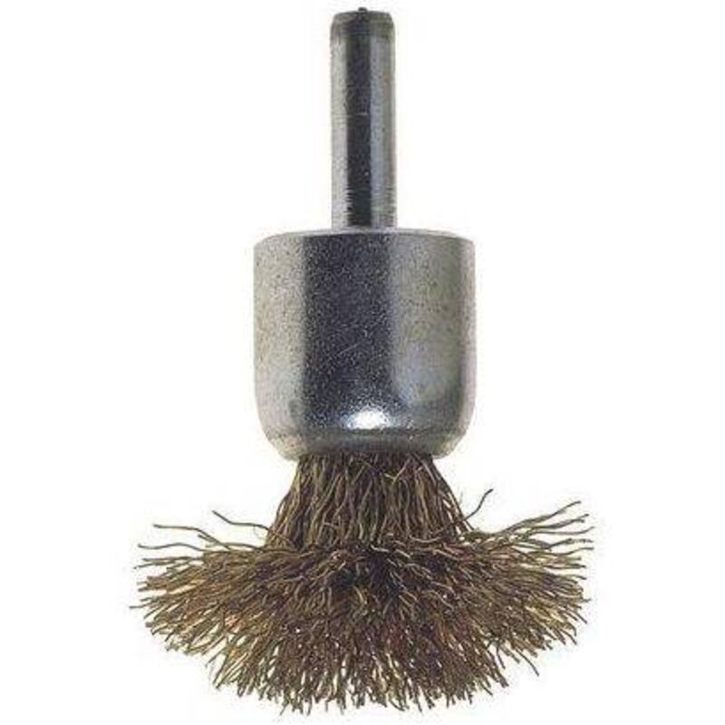 foto del prodotto spazzola acciaio a fungo gambo pg