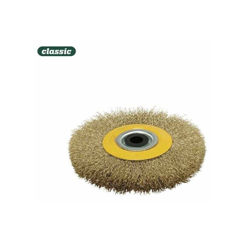 foto del prodotto spazzola circolare 100x20mm riccio fc100 mota