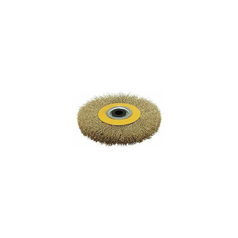 foto del prodotto spazzola circolare 175x25mm riccia fc175