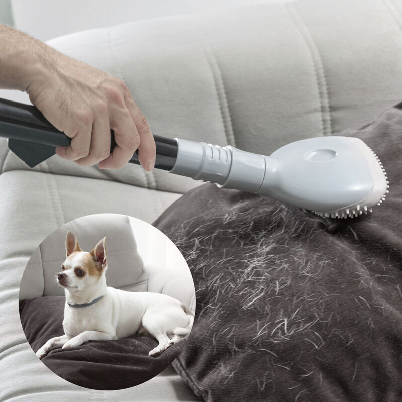 foto del prodotto spazzola per aspirapolvere smoovah innovagoods