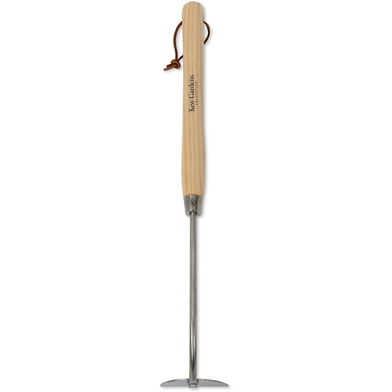 foto del prodotto spear jackson 3110kew zappa per cipolle in acciaio inossidabile della collezione kew gardens, con manico da 30,5 cm