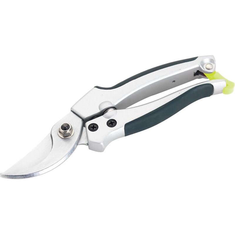 foto del prodotto spear jackson 4171lkew cesoia a bypass grande della collezione kew gardens con manico in metallo