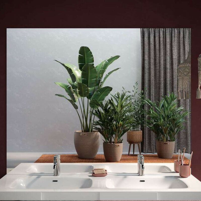 foto del prodotto specchiera rettangolare senza cornice l. 120 x h 75 x p 4 cm