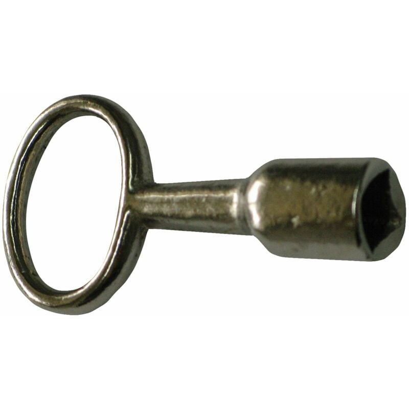 foto del prodotto spina chiave quadrata 8 mm, tec301705 - cornat