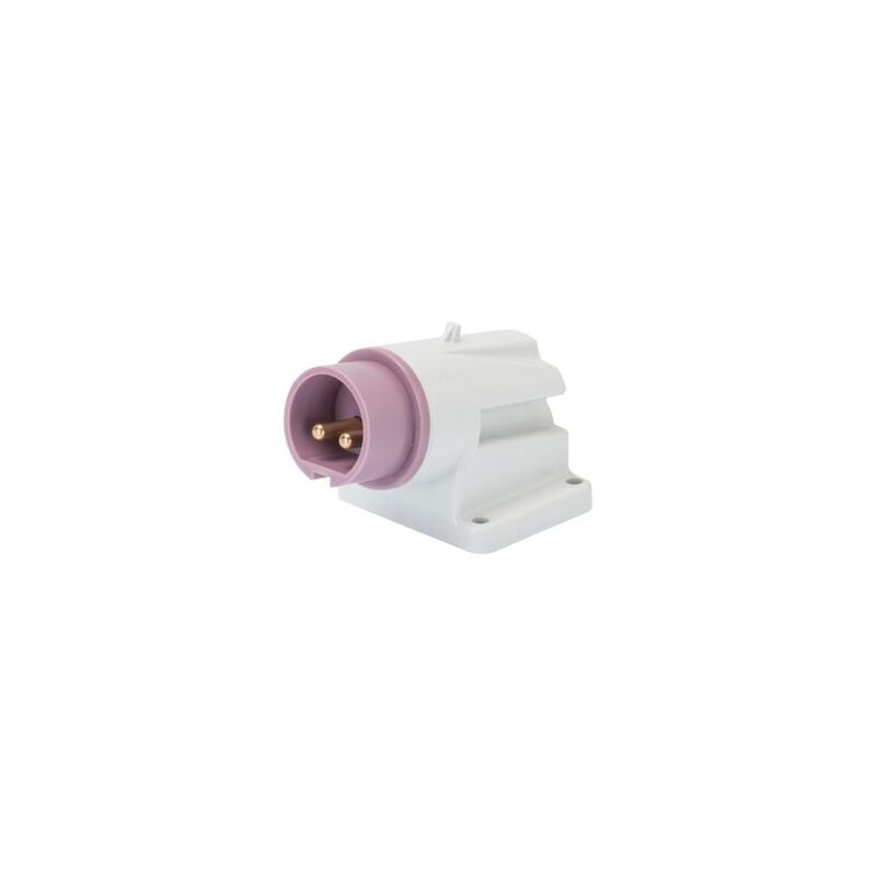 foto del prodotto spina fissa parete a 90 ip44 2p 16a 20 25v, viola