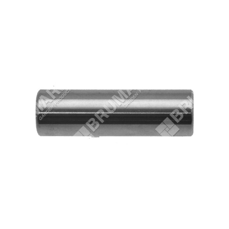 foto del prodotto spinotto per pistone diametro 10 mm per decespugliatori progreen 030773