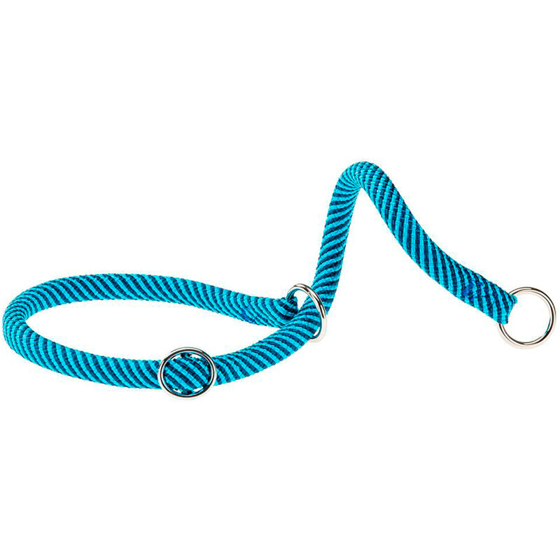 foto del prodotto sport extreme cs collare a semistrangolo in nylon per cani. variante 13 70 misure a 70 cm b 13 mm azzurro ferplast