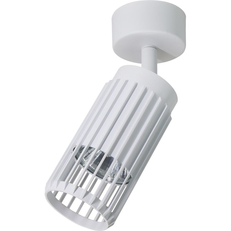 foto del prodotto spot bianco verticale 1xgu10